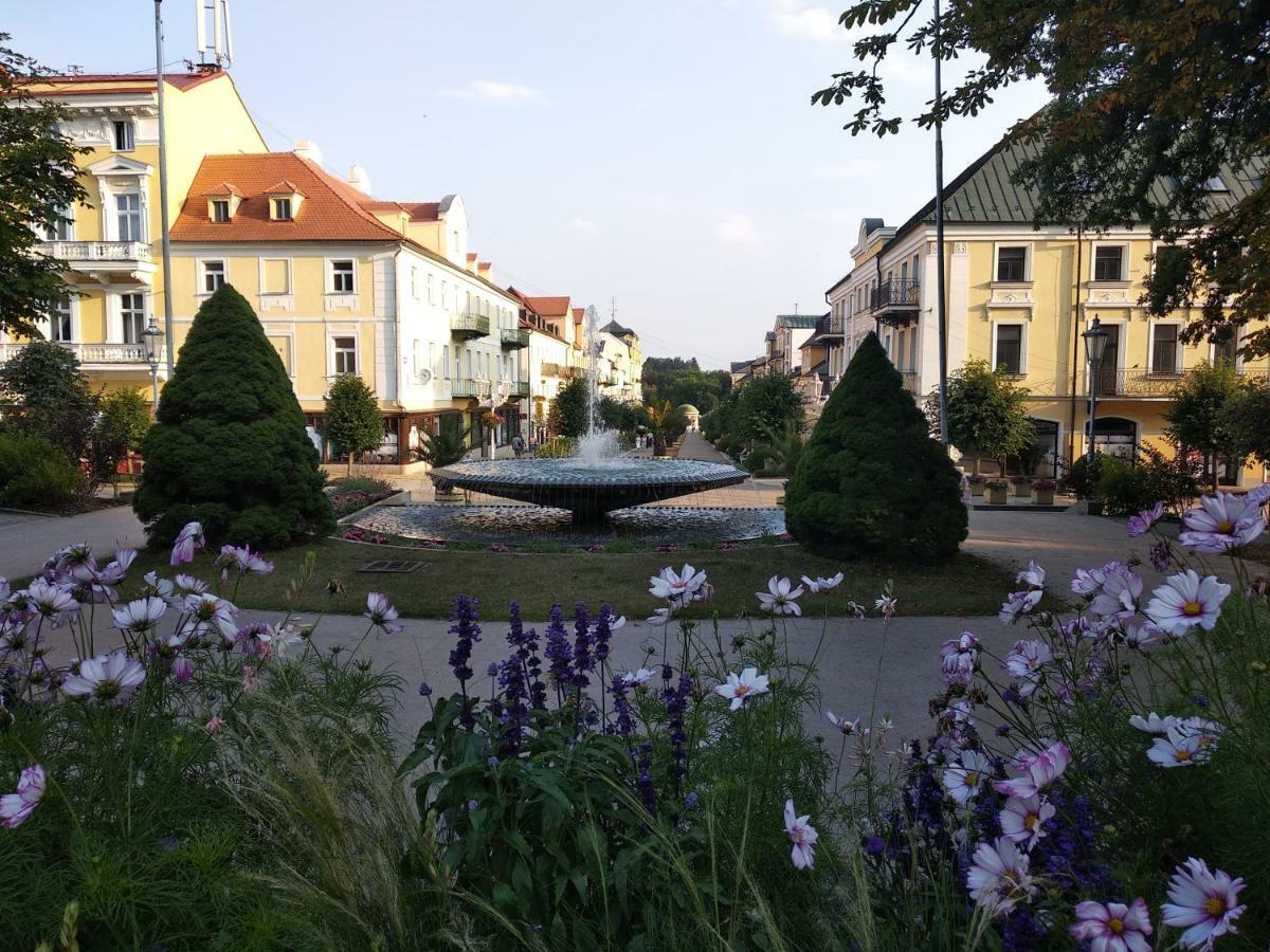Apartments Ceska Františkovy Lázně Exterior foto